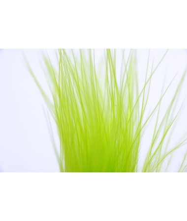 STRUNG MARABOU - fluo chartreuse